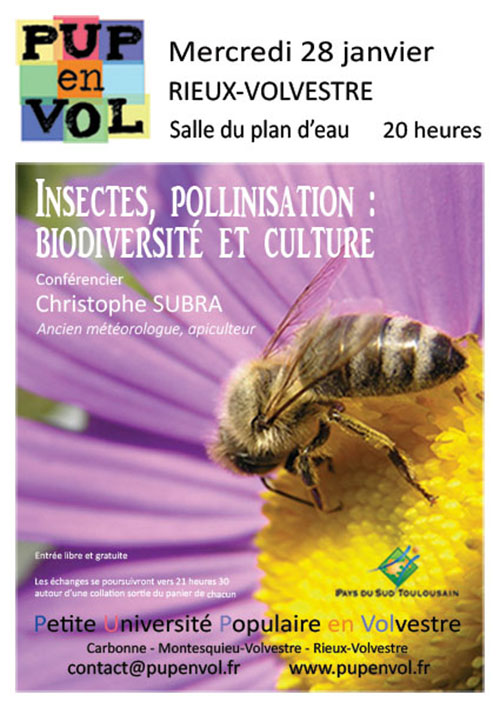 Insectes et pollinisation : biodiversité et culture